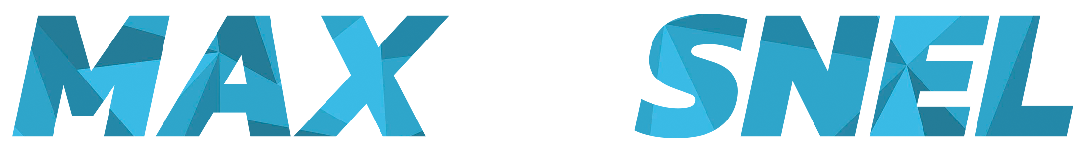 max van der snel logo